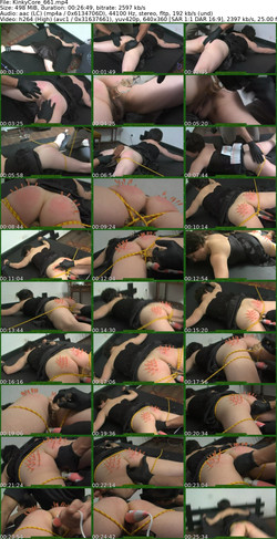 kinkycore_661_675/screens/KinkyCore_661_s.jpg