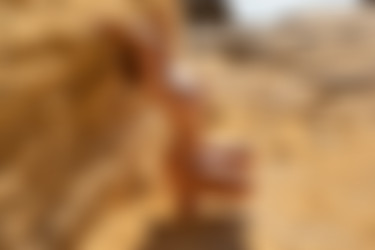 [PHD] 2024-11/16 Mila Anne - Solarys/49l.jpg