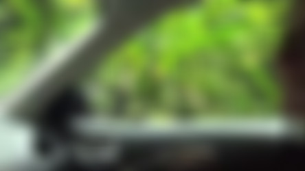 ATKGirlfriends.com Complete SiteRip - Part #13 - Videos/2019.08.17-Episode 865-Scene #11-Lola Fae-Virtual Vacation Movie.mp4