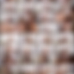 BlacksOnBlondes.22.03.29.Kylie.Quinn.XXX.1080p.MP4