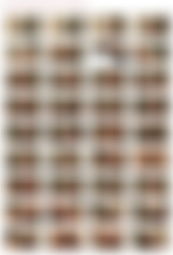 OOCF/Screens/SCENE 08-1.jpg