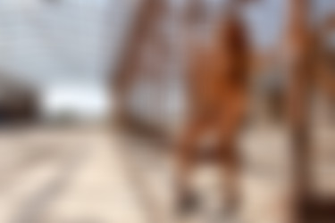 [photodromm.com] 2018-08/[photodromm.com] - 2018.08.06 - Сruzlyn - The Day After (x50) 2000x3000/32l.jpg