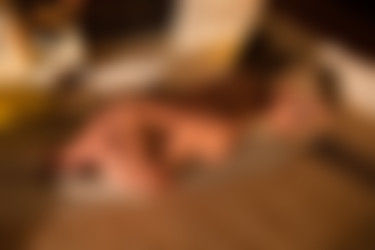 [photodromm.com] 2015-03/[photodromm.com] - 2015.03.18 - Anne - Winter Memories II (x46) 1333x2000/43l.jpg
