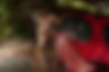 [photodromm.com] 2020-11/[photodromm.com] - 2020.11.26 - Cyrelle - Flaming Red II (x46) 2000x3000/24l.jpg