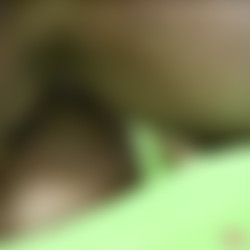 GAN_012_Irene.wmv