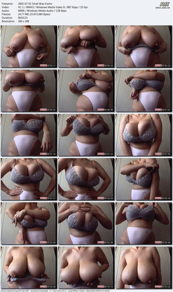 maximoom.com/2002-07-01 Small Bras 4.wmv.jpg