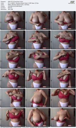 maximoom.com/2002-07-01 Small Bras 2.wmv.jpg