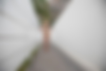 [PHD] 2024-10/22 Mila Anne - Trapped 2/21l.jpg