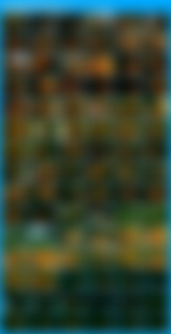 Edward Penishands 2 (1991)/Edward Penishands 2 (1991) Thumbs.jpeg