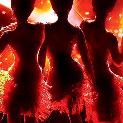 Dreamgirls.2006.1080p.BluRay.x264-OFT
