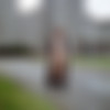 Pictures