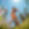 [photodromm.com] 2015-08/[photodromm.com] - 2015.08.06 - Mareeva - From Paradise (x50) 2000x3000