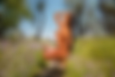 [photodromm.com] 2015-08/[photodromm.com] - 2015.08.06 - Mareeva - From Paradise (x50) 2000x3000/45l.jpg