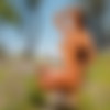 [photodromm.com] 2015-08/[photodromm.com] - 2015.08.06 - Mareeva - From Paradise (x50) 2000x3000