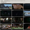 第一滴血合集.1982-2008.国英双语￡CMCT南山石 thumbnail