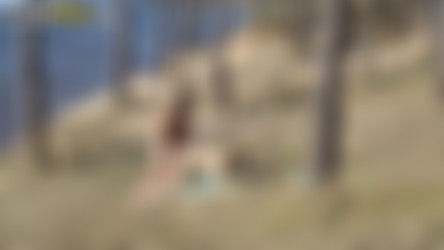 WTFPass.com Network SiteRip - Part #4/Private Sex Tapes/2010-Couple in sex outdoor.mp4