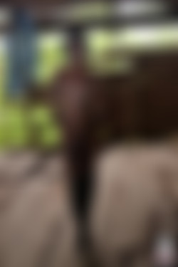 Suicidegirls - October 2015/Suicide Girls - adley - Victorian/26.jpg