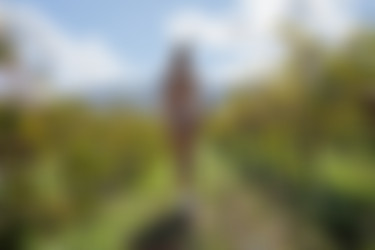 2021phdee/2021-09/[photodromm.com] - 10.09.2021 - April - The Wineyard (x50, 3000px)/The Wineyard (41).jpg