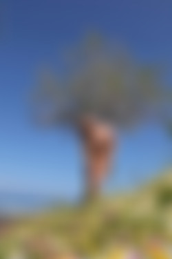 [photodromm.com] 2015-04/[photodromm.com] - 2015.04.25 - Vivien - The Promise Land II (x42) 1333x2000/30l.jpg