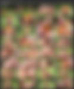 Tricia Teen/Screens/Private Gold 194 - Private Summer School.mp4.jpg