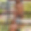 [photodromm.com] 2017-11/[photodromm.com] - 2017.11.08 - Allison - Morning II (x46) 2000x3000