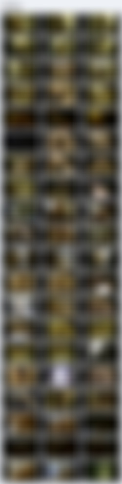 Escort/screenlist.jpg