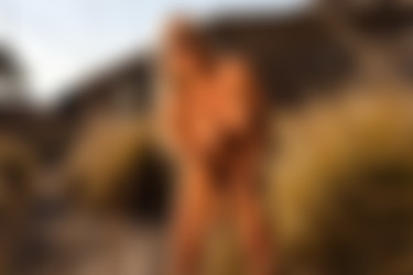 [photodromm.com] 2017-09/[photodromm.com] - 2017.09.02 - Brittie - The Golden Touch (x50) 2000x3000/12l.jpg