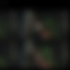 Collection of the best of Blender (2024 update) [Part I]/screenlist/Amazonium