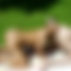 Francesca Felucci thumbnail