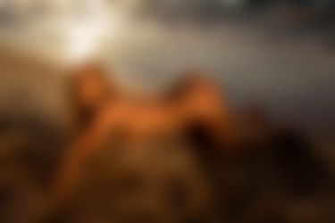 [photodromm.com] 2017-10/[photodromm.com] - 2017.10.04 - Brittie - Warm Wet Sands (x46) 2000x3000/25l.jpg