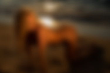 [photodromm.com] 2017-10/[photodromm.com] - 2017.10.04 - Brittie - Warm Wet Sands (x46) 2000x3000/45l.jpg