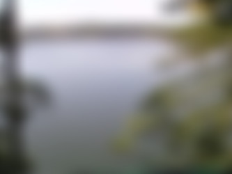 WTFPass.com Network SiteRip - Part #4/Private Sex Tapes/2009-Couple doing sex in the woods.mp4
