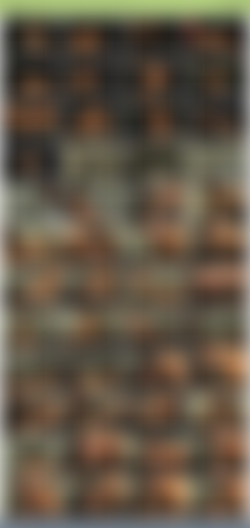 TheHabibShow h265/SS/TheHabibShow 004 Midget Man and Ms. PAWG fuckin in the hood FULL VIDEO.jpg