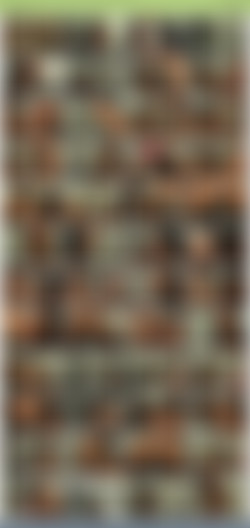 TheHabibShow h265/SS/TheHabibShow 006 Shorty BigMercedes  Ms. PAWG LESBIANS Part1 FULL VIDEO.jpg