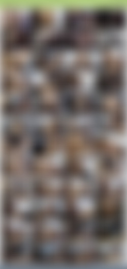 TheHabibShow h265/SS/TheHabibShow 007 PART2. Petite Renegade Hoe fuck in Habib SweatShop.jpg