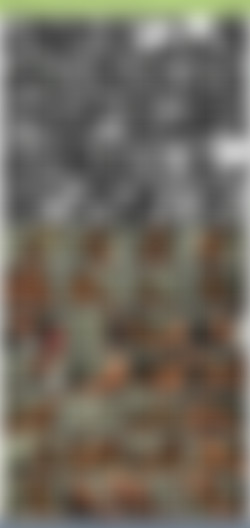 TheHabibShow h265/SS/TheHabibShow 009 Mercedes Finally gets Fucked by the Stunt DICK Part 2 FULL VIDEO.jpg