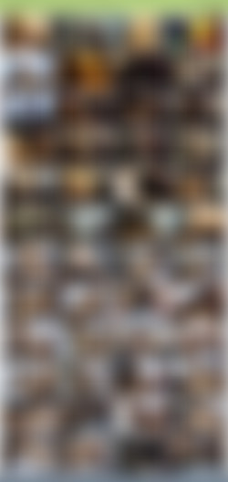 TheHabibShow h265/SS/TheHabibShow 010 PART1. Petite Renegade Hoe fuck in Habib SweatShop.jpg