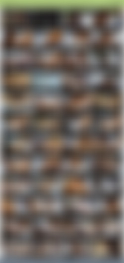 TheHabibShow h265/SS/TheHabibShow 012 BRAZILIAN GANGBNAGING WITH DRINK A BEER BRAZILIAN PORN PUSSY AND BLUE BALLS VAL.jpg