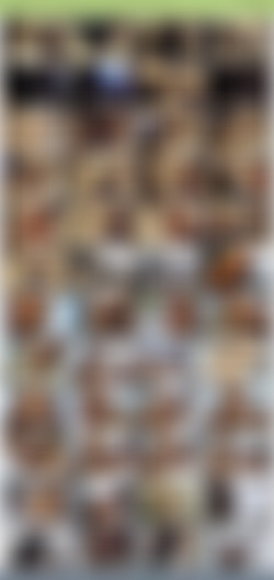 TheHabibShow h265/SS/TheHabibShow 013 SUPER DUPER HUGE BIG PHAT BOOTY BRAZILIAN PORN PUSSY SLUT HOE.jpg