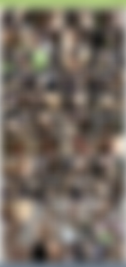 TheHabibShow h265/SS/TheHabibShow 022 PREACH BROTHER PEACH..GHETTO HOOD PREACHER UNDERGROUND HOOD PORN.jpg