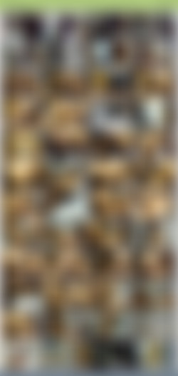 TheHabibShow h265/SS/TheHabibShow 024 BRAZILIAN ANAL SEX CONDOM THROWING HOE WITH VAL DOGGY DAWG IN THE ORGY IN RIO PART1.jpg