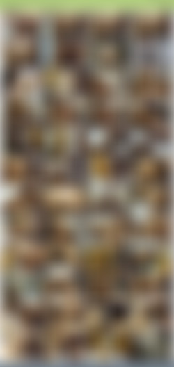 TheHabibShow h265/SS/TheHabibShow 027 BRAZILIAN PHAT PUSSY MILF.jpg