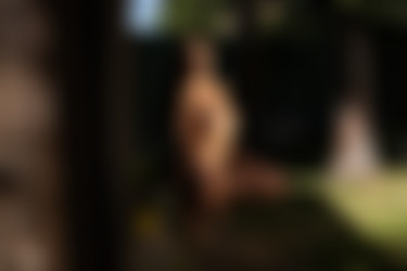 [PHD] 2024-11/22 Giorgia - Mistery Tour/38l.jpg