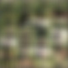 Kim 4 thumbnail