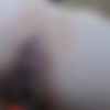 Stella_Von_Savage Ass Worship Pack