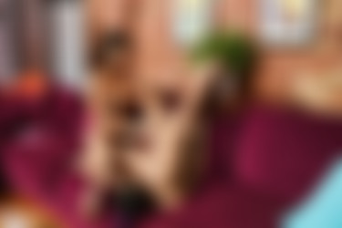 rubi valentine/pics/denai_rubi_valentine_get_fucked_teaser_3000highres/ex_3000watermarked/denai_rubi_valentine_foot_fuck_me-19.jpg
