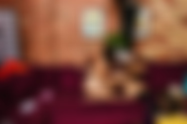 rubi valentine/pics/denai_rubi_valentine_get_fucked_teaser_3000highres/ex_3000watermarked/denai_rubi_valentine_foot_fuck_me-24.jpg