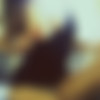 Pictures