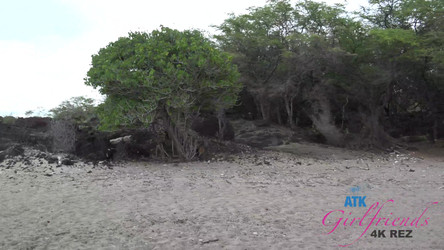 ATKGirlfriends.com Complete SiteRip - Part #14 - Videos/2019.12.16-Episode 939-Scene #1-Aliya Brynn-Virtual Vacation Movie.mp4