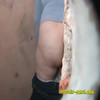 HZ WC ALL 2012 (1552-1757) thumbnail